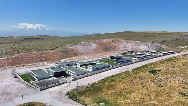 Kocasinan'dan sokak hayvanlarına özel hizmet ağı!