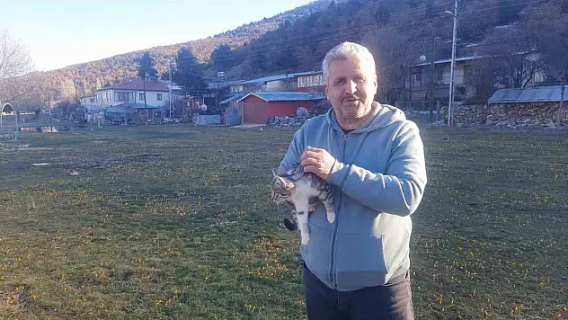 Aç kalan kediler için 30 kilometre yol gitti