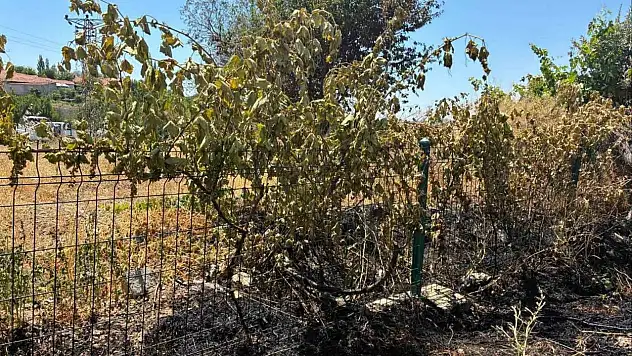 Yozgat'ta Elektrik Kablosu Kopunca Tarlada Yangın Çıktı