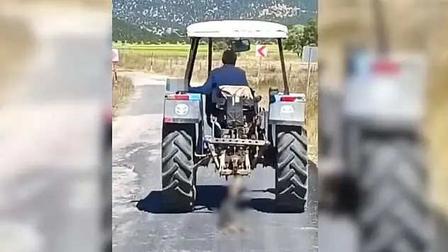 Köpeği traktöre bağlayarak sürükleyen şahıs tepki topladı!