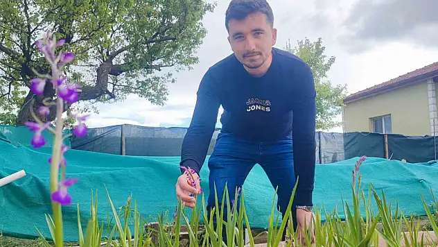 Köy bahçesinde başladı, hedefi salep üretimini büyütmek