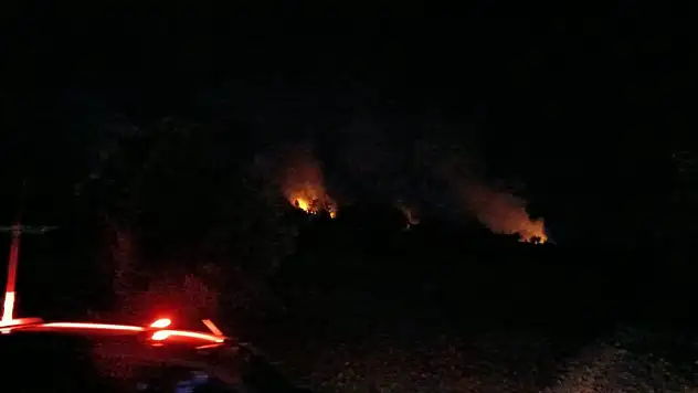 Kozan'da ormanlık alanda korkutan yangın!