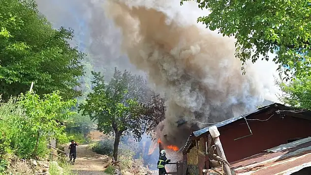 Adana Kozan'da yayla evi yangını ormana sıçradı