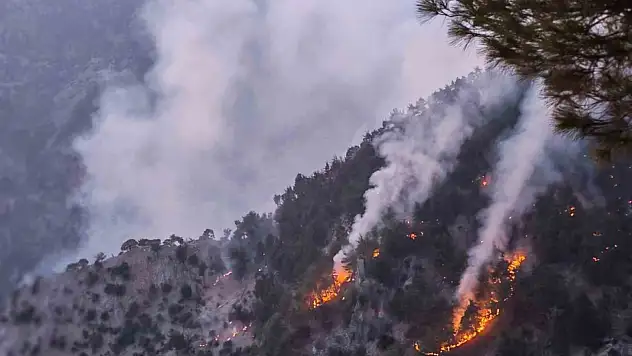 İyi haber: Orman yangını kısmen kontrol altında!