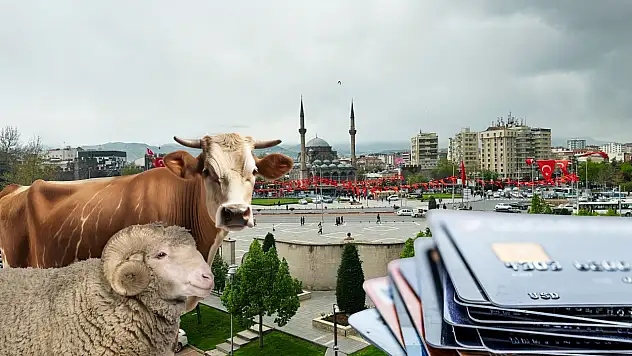 Kredi kartı ile taksit yaparak kurbanlık hayvan almak caiz mi?