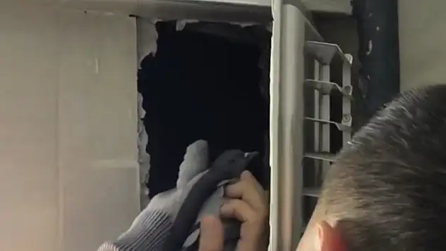 Kuaförün havalandırma boşluğuna sıkışan güvercinin imdadına itfaiye yetişti!