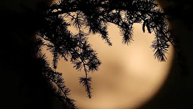 Kunduz Dolunayı geliyor: 6 yılın en büyük Süper Ay'ı gökyüzünde!