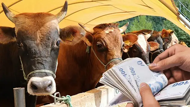 Kurban Bayramı ikramiyeleri için kritik tarih belli oldu: İkramiyeler kaç TL olacak?