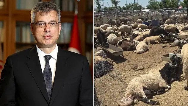 Kurban Bayramı'nın ilk günü acı bilanço