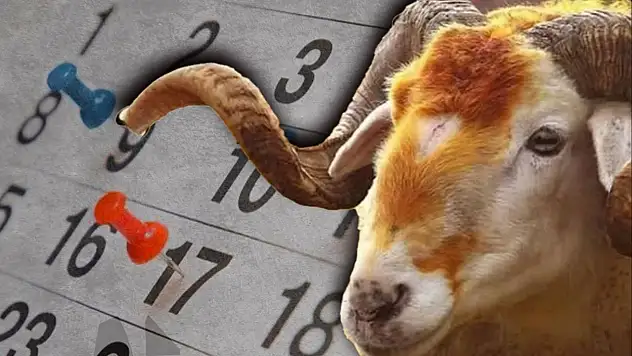 Kurban Bayramı tatili kaç gün olacak? 2025 Memurlar idari izin yapacak mı, özel sektör kaç gün tatil olacak?