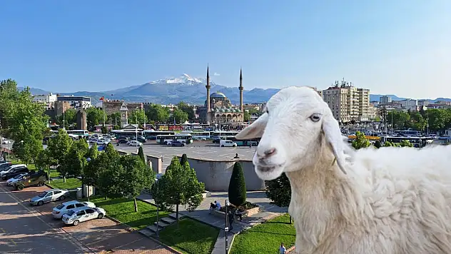 Kurban yasağı getirildi! Artık sembolik kurban kesimi gerçekleştirilecek