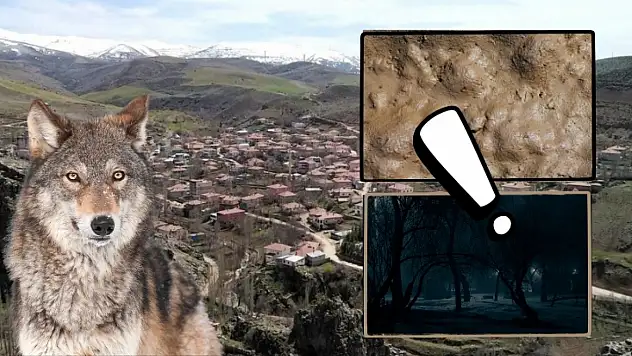 Kurt sesleri geliyor, sokak lambaları yok: Kayseri'nin o mahallesi çözüm bekliyor!