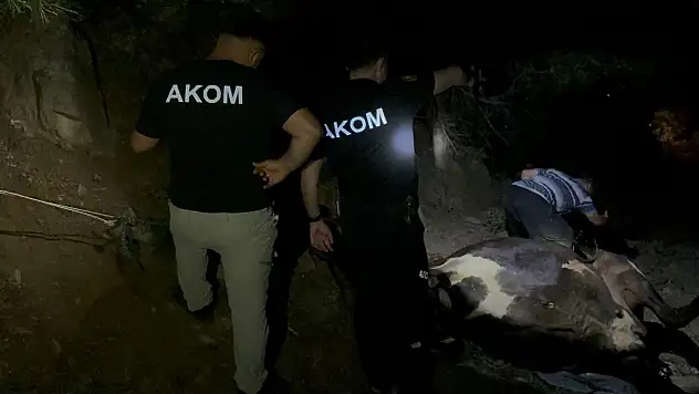 Kayıp inek saatler süren çalışmanın ardından kurtarıldı!