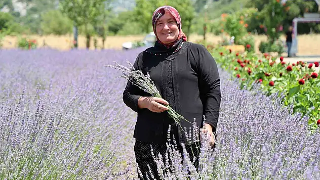 Köy kadınlarından büyük başarı: Lavanta bahçeleri