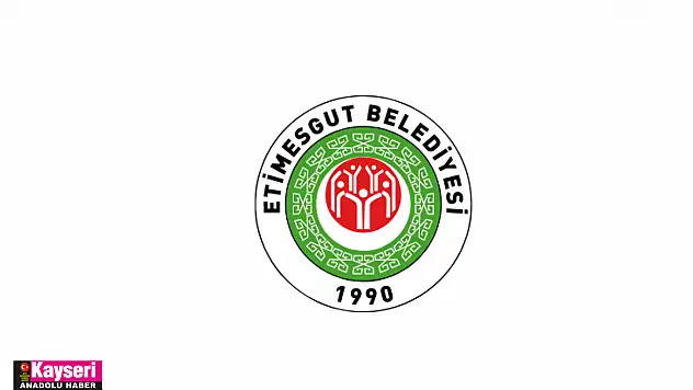 Ledli dekoratif aydınlatma direği ve ledli projektör satın alınacak