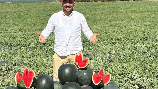 Malatya'da karpuz ve kavun hasadı verimli geçiyor!