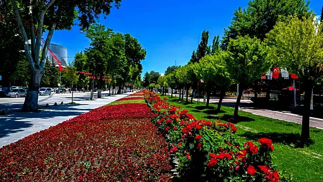 Malatya çiçeklerle bezendi