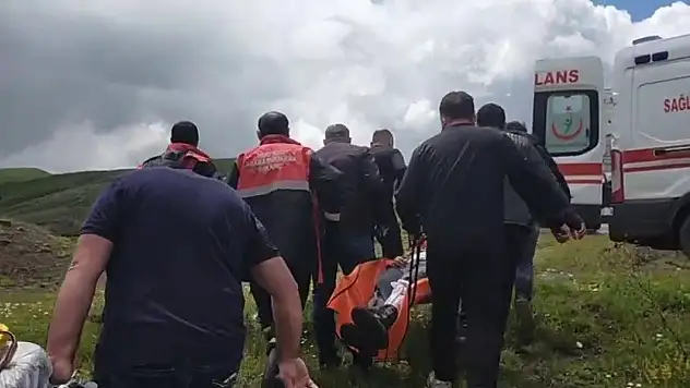 Sivas'ta mantar toplayan bir vatandaş ayı saldırısına uğradı