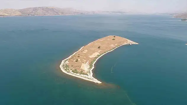 Tavşan Adası için projeler sıralandı