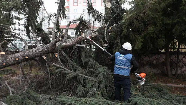 Melikgazi'de yoğun fırtına mesaisi!
