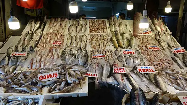 Av yasağının sona ermesiyle birlikte balık tezgahları şenlendi