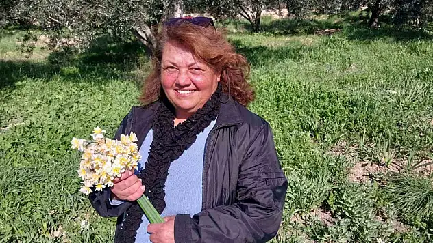Nergis çiçekleri Mersin'de gelir kaynağı oldu