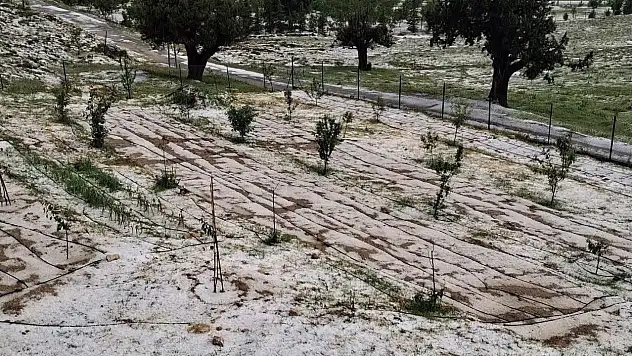 Mersin'de dolu tarım arazilerine zarar verdi!