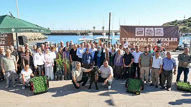 Üreticilerin yüzünü güldüren destekler peş peşe geldi: Makine, fide ve fidan desteği