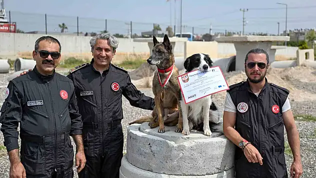 Mersin itfaiyesinin kahraman patileri Ares ve Rex'ten önemli başarı!