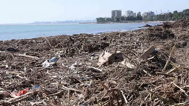 Mersin sahillerinde balçık temizliği