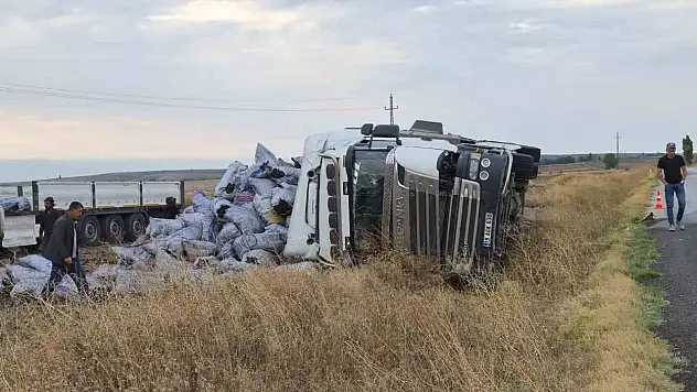 Meşe kömürü yüklü tır devrildi, sürücüsü yaralandı