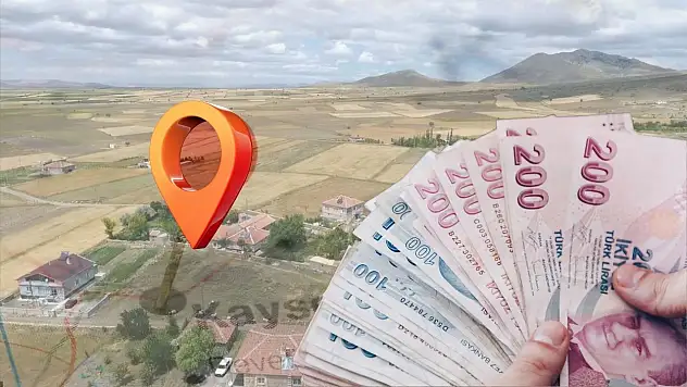 Metrekaresi 30 TL'ye denk geliyor! İşte toprak sahibi olma fırsatı