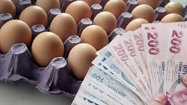 Mutfakların vazgeçilmezi yumurtada fiyat yelpazesi genişledi