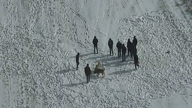 Köpek dövüşüne jandarma baskını