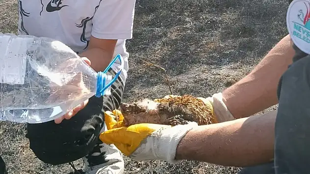 Nevşehir'de yangın dehşeti: 200 dönüm alan zarar gördü!