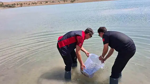 Niğde Bahçeli Göleti'ne yeni can: Binlercesi salındı!