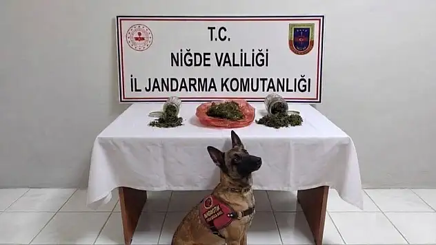 Niğde'de bir haftalık asayiş bilançosu!