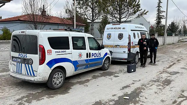 Niğde'de dövüştürülen köpekler çalındı