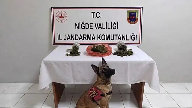 Niğde'de Jandarmadan uyuşturucu operasyonu!