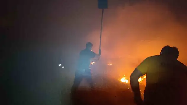 Korkutan mera yangını kontrol altına alındı