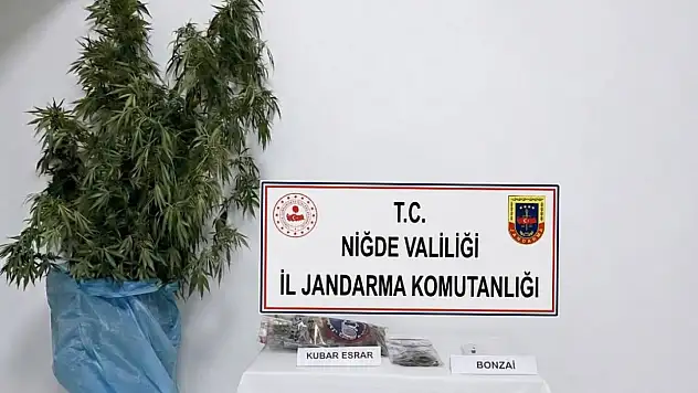 Jandarma adrese basınca yakayı ele verdi