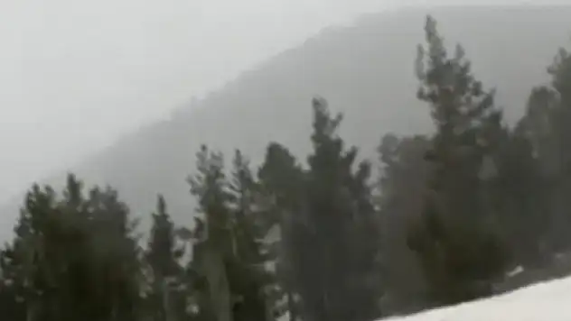 Sivas'ta nisan karı şaşırttı!