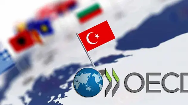 OECD İstanbul Merkezi Protokolü onaylandı