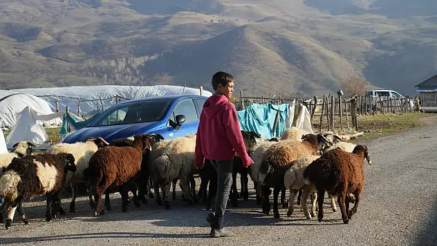Öğretmenler devamsızlık yapan öğrenciler için köy köy geziyor