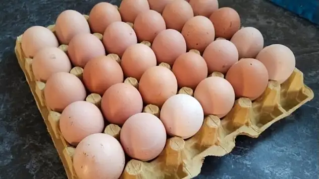 Organik yumurta ile market yumurtası arasındaki büyük fark!