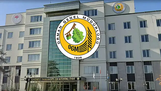 Orman Genel Müdürlüğü Kayseri dahil farklı şehirlerde 262 daimi işçi alımı yapacak!