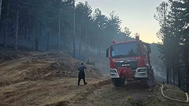 Adana'da orman yangını kontrol altına alındı!
