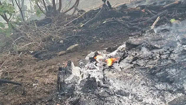 Devam eden yangına 5 helikopter ve 110 personelle müdahale!