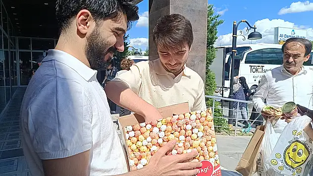 Otobüsün bagajında 3 gün mahsur kalan yavru kedi kurtarıldı