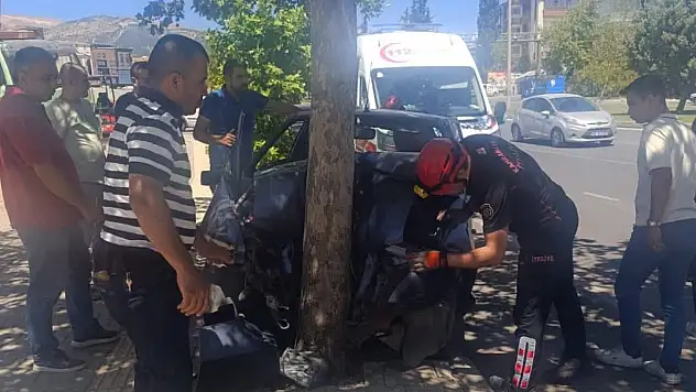 Direksiyon hakimiyetini kaybetti: Ağaca çarptı!